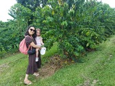 Enlarge photo 23