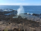 Enlarge photo 92
