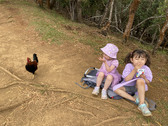 Enlarge photo 57