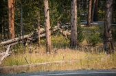 Enlarge photo 30