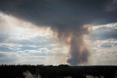 Enlarge photo 105