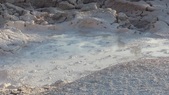Enlarge photo 64