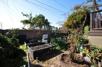 Enlarge photo 46