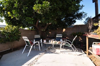 Enlarge photo 48