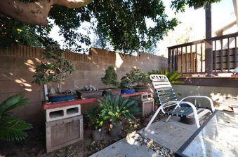 Enlarge photo 49