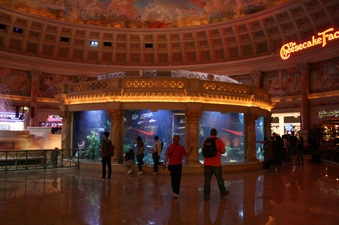 Enlarge photo 26
