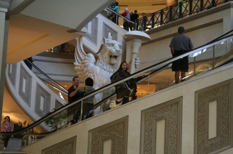 Enlarge photo 54