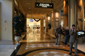 Enlarge photo 57