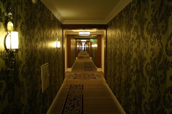 Enlarge photo 59