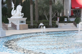 Enlarge photo 35