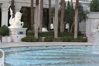Enlarge photo 37