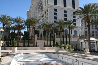 Enlarge photo 56