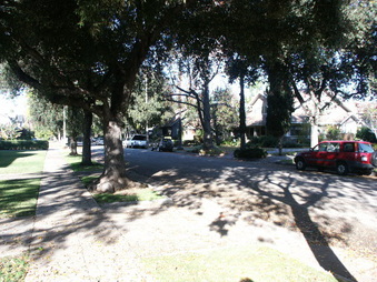 Enlarge photo 21