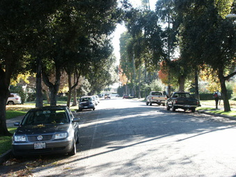 Enlarge photo 25