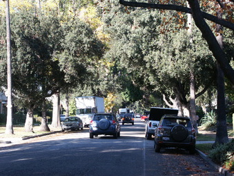 Enlarge photo 34