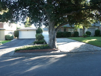 3460 & 3444 Grayburn Rd.