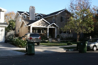 4088 & 4084 Camellia