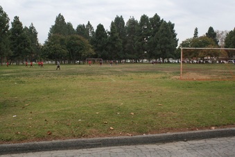 Enlarge photo 12