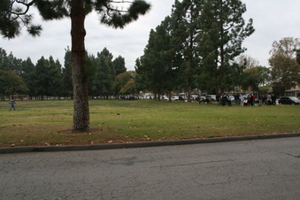 Enlarge photo 20