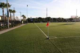 Enlarge photo 35