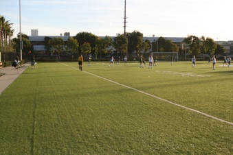 Enlarge photo 36
