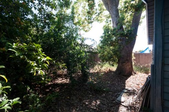 Enlarge photo 38