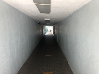 Enlarge photo 35