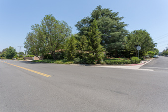 Enlarge photo 43