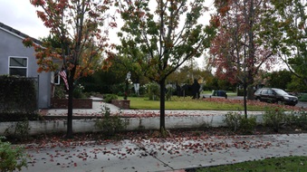 Enlarge photo 3