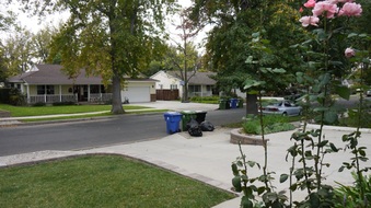 Enlarge photo 4