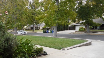 Enlarge photo 35