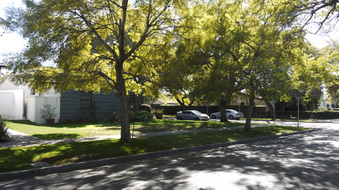 Enlarge photo 2