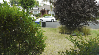Enlarge photo 40