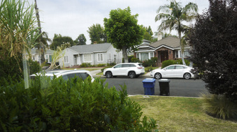 Enlarge photo 41