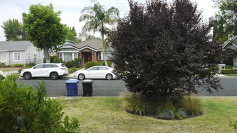 Enlarge photo 42