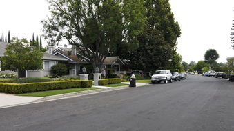 Enlarge photo 48