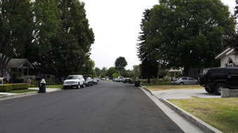 Enlarge photo 49