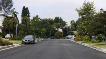 Enlarge photo 54