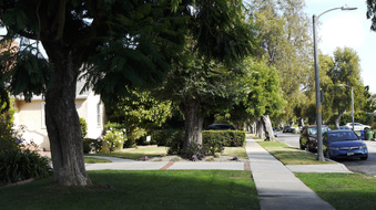 Enlarge photo 41