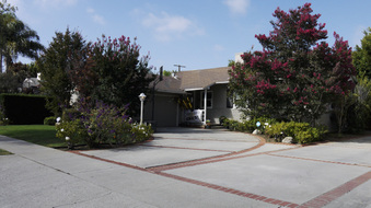 Enlarge photo 44