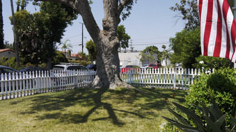 Enlarge photo 14