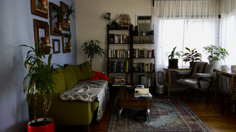 Enlarge photo 16