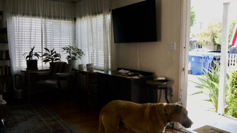 Enlarge photo 17