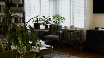 Enlarge photo 33