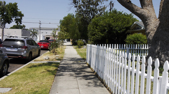 Enlarge photo 43