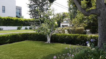 Enlarge photo 14