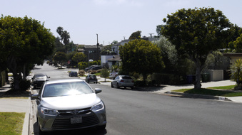 Enlarge photo 55