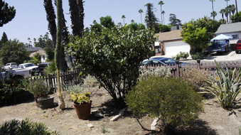 Enlarge photo 13