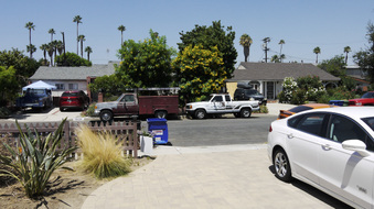 Enlarge photo 14