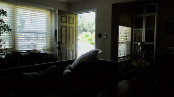 Enlarge photo 34